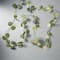 12 Pack: 18ct. Warm White LED String Lights Eucalyptus Leaf Garland by Ashland®